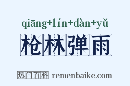 枪林弹雨是什么意思的图片